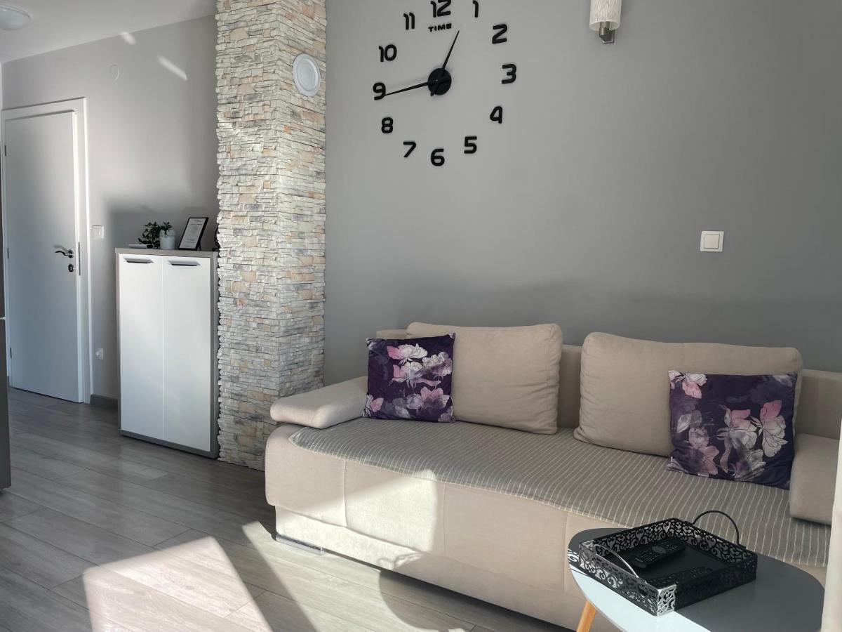 Apartments Silver Beauty روغوزنيكا المظهر الخارجي الصورة