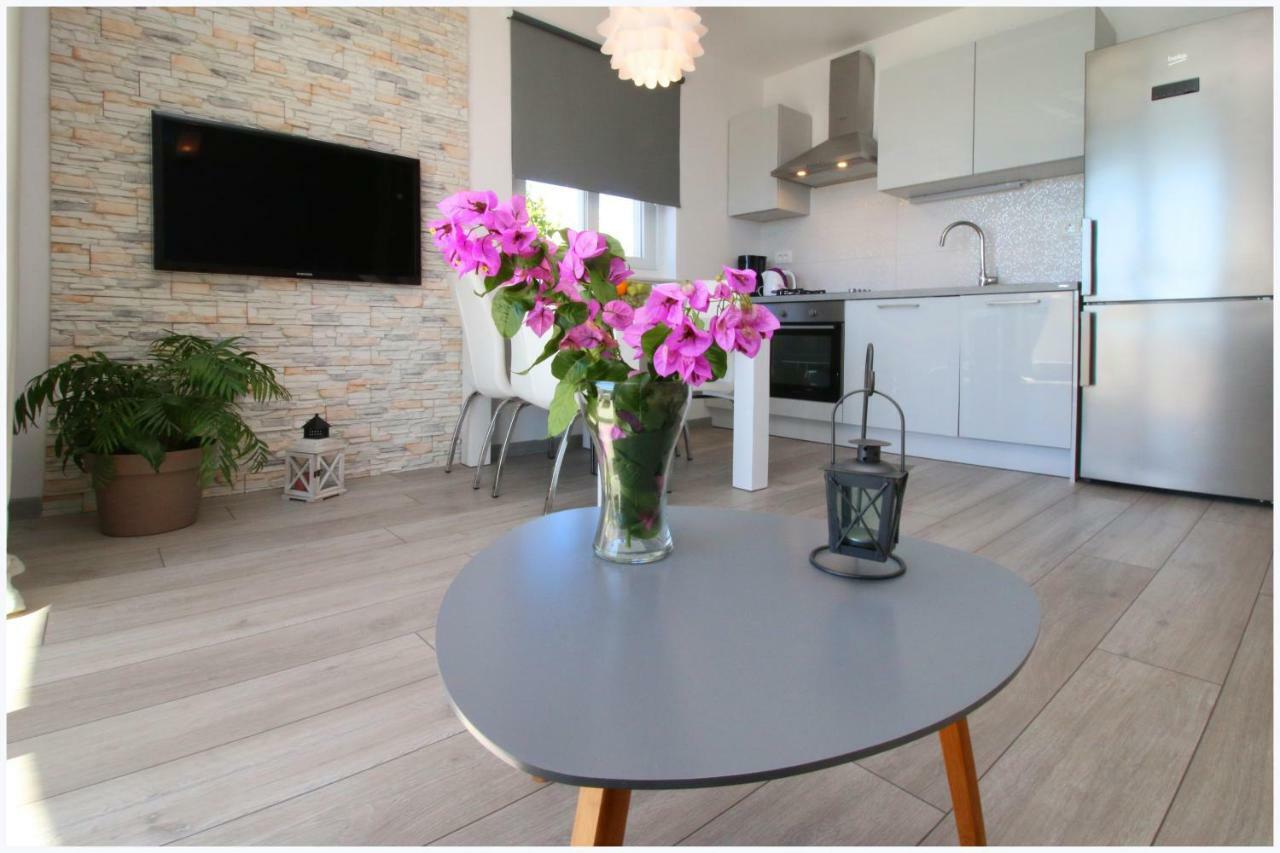Apartments Silver Beauty روغوزنيكا المظهر الخارجي الصورة